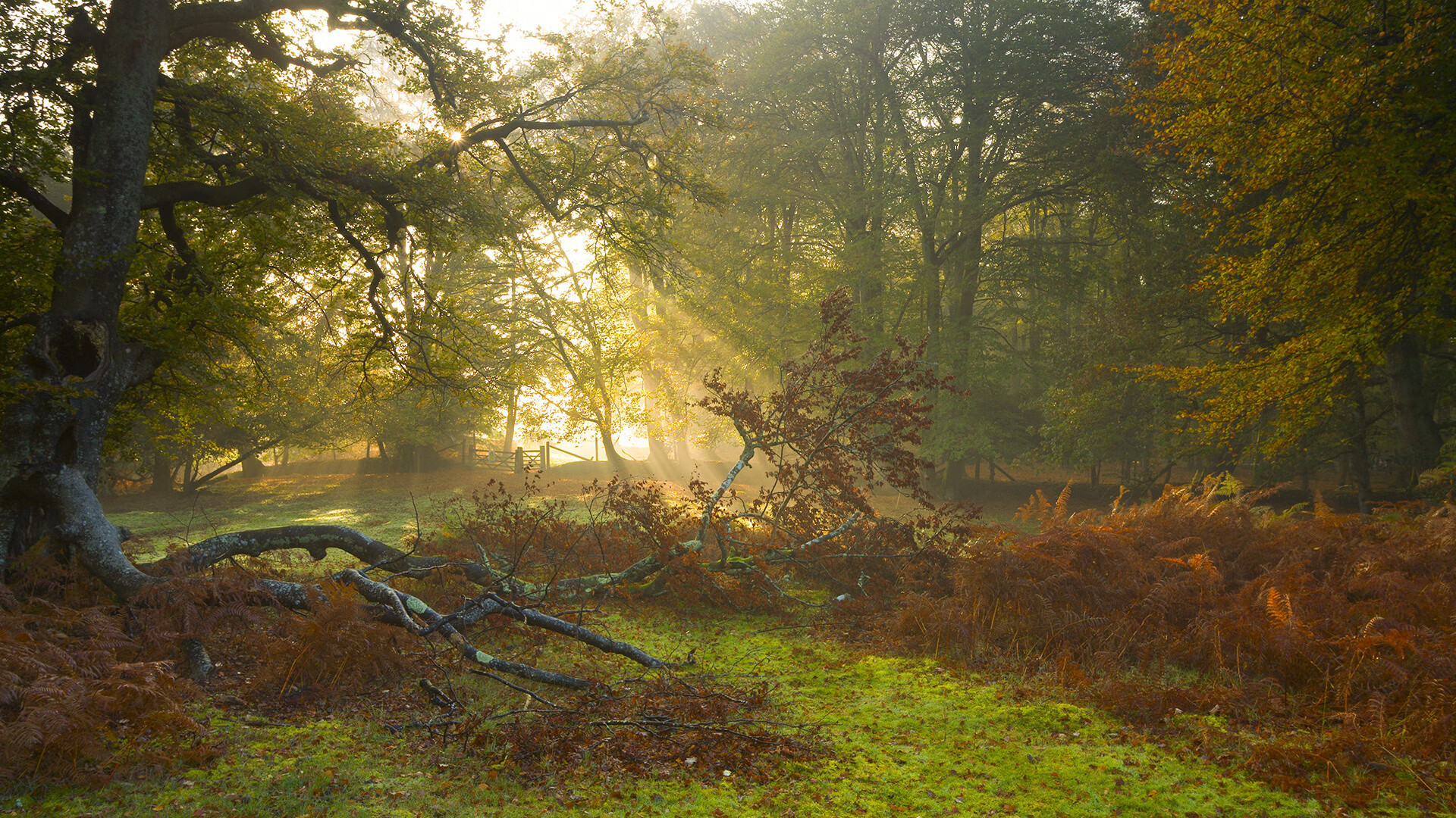 球迷对球队失利表达强烈不满，球迷们感到很迷茫,面对这场比赛